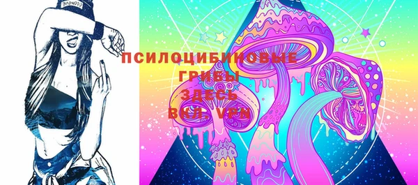 хмурый Абинск
