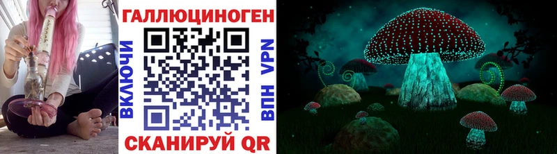 Галлюциногенные грибы Psilocybine cubensis  наркота  Алдан 